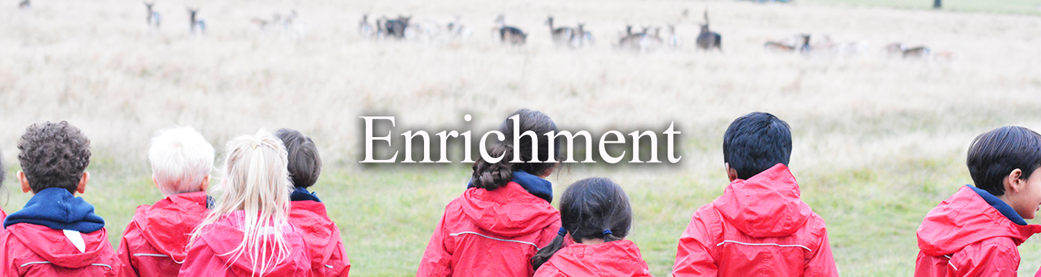 Enrichment