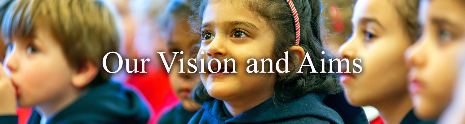 Our vision and aims